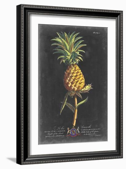 Dramatic Royal Botanical II-George Ehret-Framed Art Print