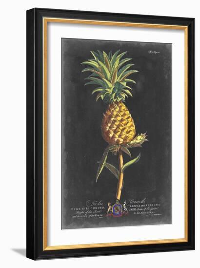 Dramatic Royal Botanical II-George Ehret-Framed Art Print