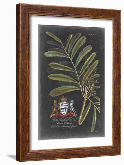 Dramatic Royal Botanical III-George Ehret-Framed Art Print