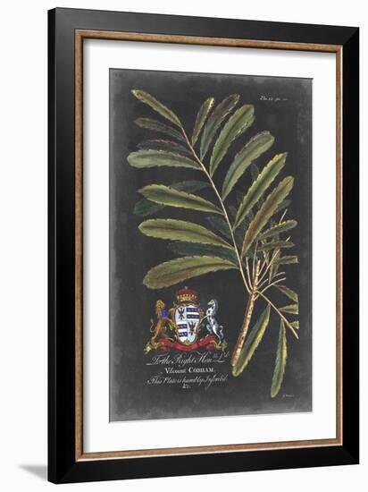 Dramatic Royal Botanical III-George Ehret-Framed Art Print