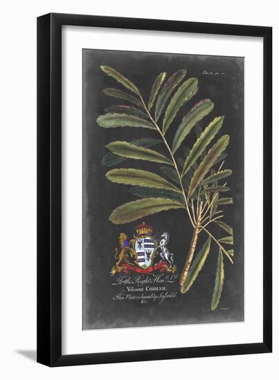 Dramatic Royal Botanical III-George Ehret-Framed Art Print