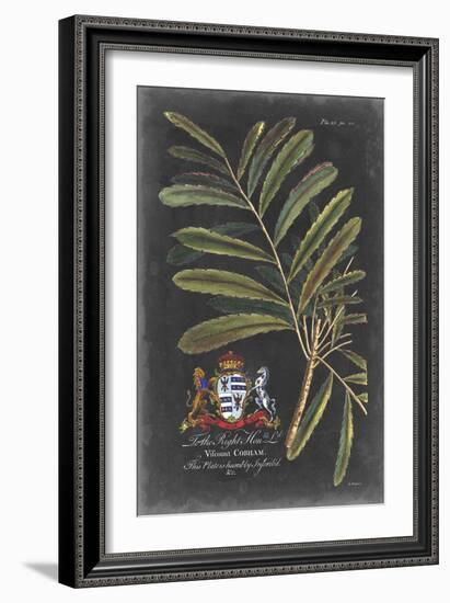 Dramatic Royal Botanical III-George Ehret-Framed Art Print