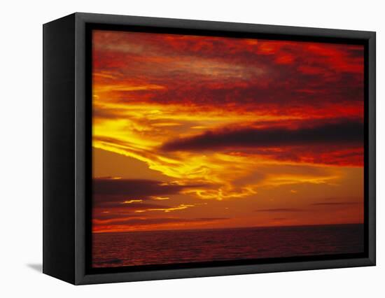 Dramatic Sky and Red Clouds at Sunset, Antarctica,, Polar Regions-David Tipling-Framed Premier Image Canvas