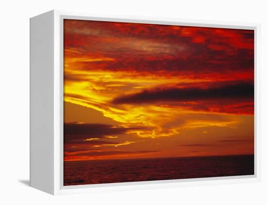 Dramatic Sky and Red Clouds at Sunset, Antarctica,, Polar Regions-David Tipling-Framed Premier Image Canvas