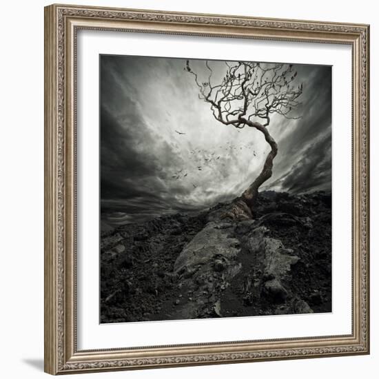 Dramatic Sky Over Old Lonely Tree-NejroN Photo-Framed Art Print