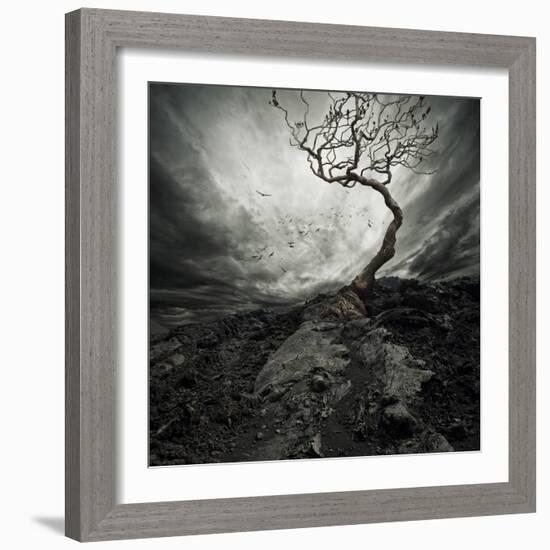 Dramatic Sky Over Old Lonely Tree-NejroN Photo-Framed Art Print