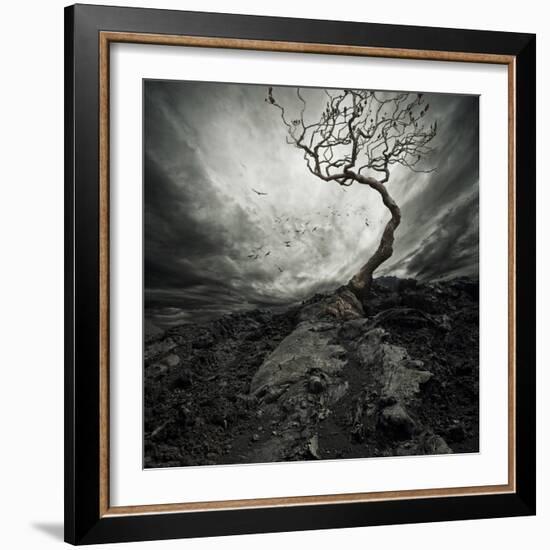 Dramatic Sky Over Old Lonely Tree-NejroN Photo-Framed Art Print