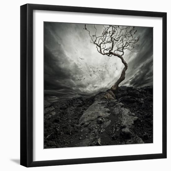 Dramatic Sky Over Old Lonely Tree-NejroN Photo-Framed Art Print