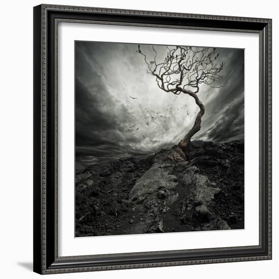 Dramatic Sky Over Old Lonely Tree-NejroN Photo-Framed Art Print