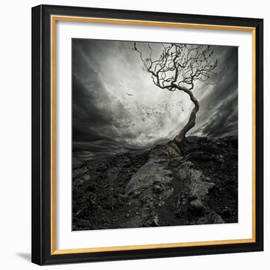 Dramatic Sky Over Old Lonely Tree-NejroN Photo-Framed Art Print