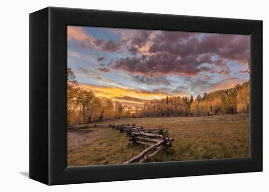 Dramatic Sunset Light on Aspen Grove at Owl Creek Pass in the Uncompahgre National Forest, Colorado-Chuck Haney-Framed Premier Image Canvas