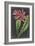 Dramatic Tropicals I-Vision Studio-Framed Art Print