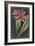 Dramatic Tropicals I-Vision Studio-Framed Art Print