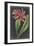 Dramatic Tropicals I-Vision Studio-Framed Art Print