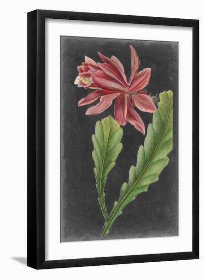 Dramatic Tropicals I-Vision Studio-Framed Art Print