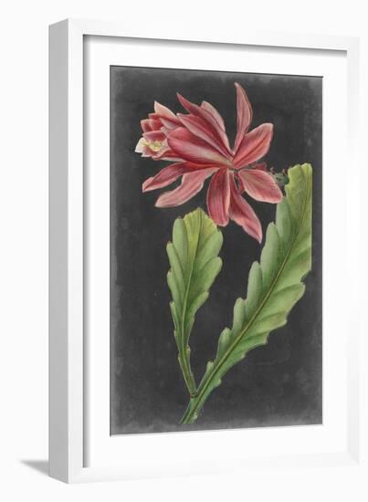 Dramatic Tropicals I-Vision Studio-Framed Art Print