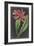 Dramatic Tropicals I-Vision Studio-Framed Art Print