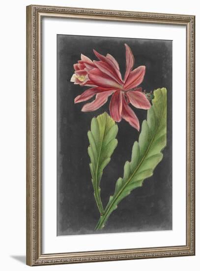 Dramatic Tropicals I-Vision Studio-Framed Art Print