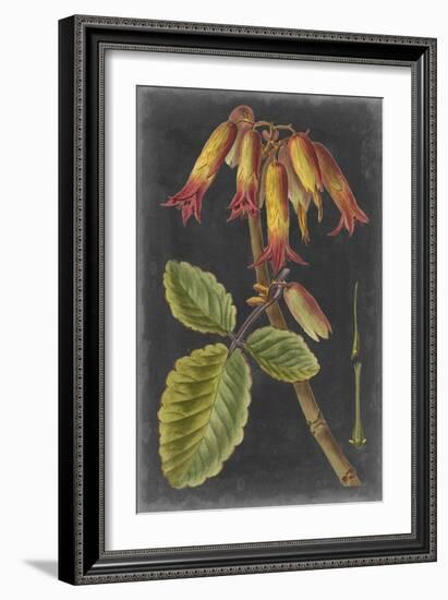 Dramatic Tropicals III-Vision Studio-Framed Art Print