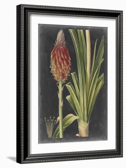 Dramatic Tropicals IV-Vision Studio-Framed Art Print