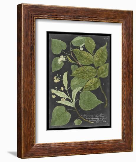 Dramatic Weinmann Greenery III-Vision Studio-Framed Art Print