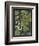 Dramatic Weinmann Greenery III-Vision Studio-Framed Art Print