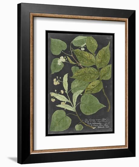 Dramatic Weinmann Greenery III-Vision Studio-Framed Art Print