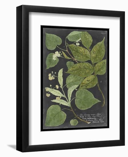 Dramatic Weinmann Greenery III-Vision Studio-Framed Art Print