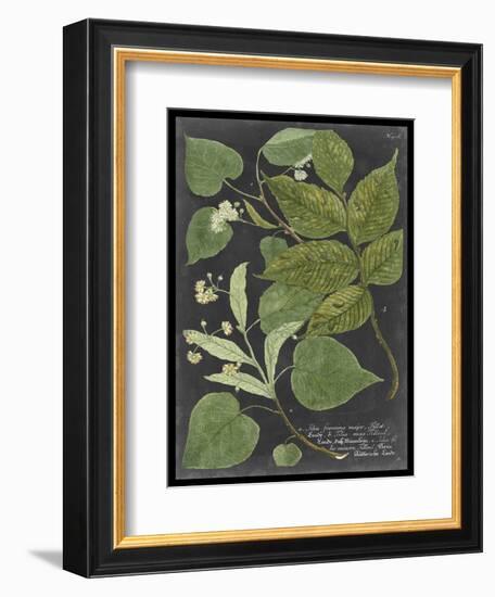 Dramatic Weinmann Greenery III-Vision Studio-Framed Art Print