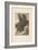 Drawing, 1911 (Photogravure)-Auguste Rodin-Framed Giclee Print