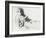 Drawing in Sanguine, C20th Century (1932)-William Newenham Montague Orpen-Framed Giclee Print