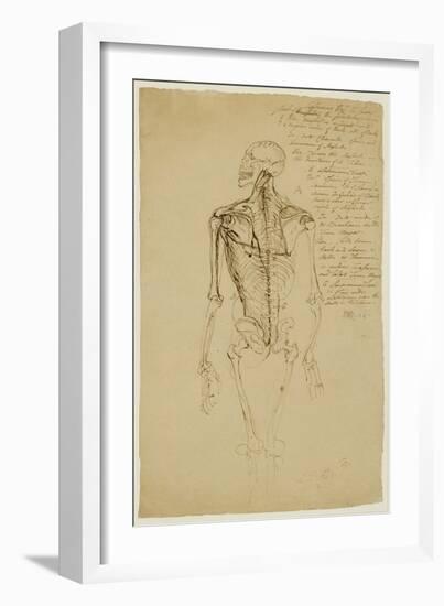 Drawing of a Man's Skeleton-James Ward-Framed Giclee Print