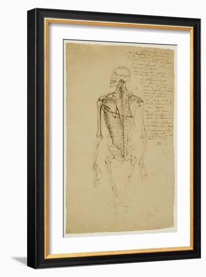 Drawing of a Man's Skeleton-James Ward-Framed Giclee Print