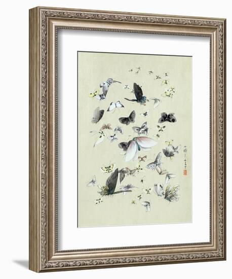 Drawing of butterflies and moths attributed to Settso-null-Framed Giclee Print