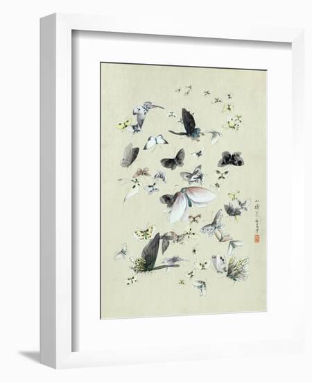 Drawing of butterflies and moths attributed to Settso-null-Framed Giclee Print