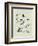 Drawing of butterflies and moths attributed to Settso-null-Framed Giclee Print