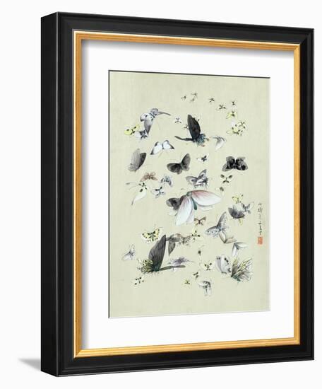 Drawing of butterflies and moths attributed to Settso-null-Framed Giclee Print