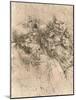 Drawing of caricatures, c1472-c1519 (1883)-Leonardo Da Vinci-Mounted Giclee Print