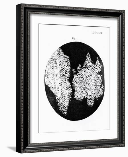 Drawing of Cork Under Microscope by Robert Hooke-Jeremy Burgess-Framed Photographic Print