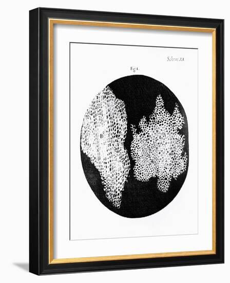 Drawing of Cork Under Microscope by Robert Hooke-Jeremy Burgess-Framed Photographic Print