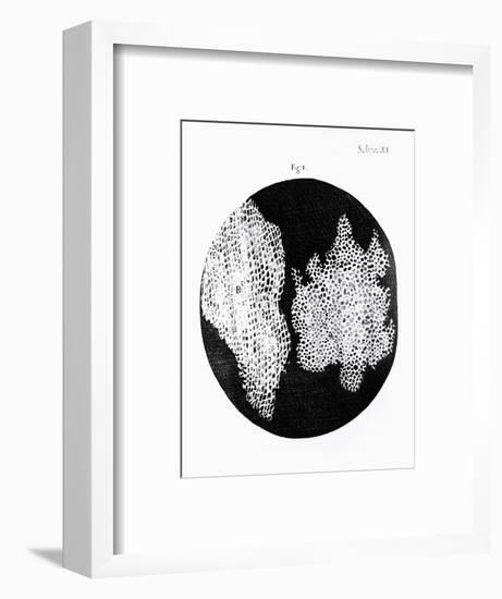 Drawing of Cork Under Microscope by Robert Hooke-Jeremy Burgess-Framed Photographic Print