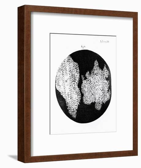 Drawing of Cork Under Microscope by Robert Hooke-Jeremy Burgess-Framed Photographic Print