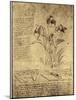 Drawing of Flowers and Diagrams by Leonardo da Vinci-Bettmann-Mounted Giclee Print