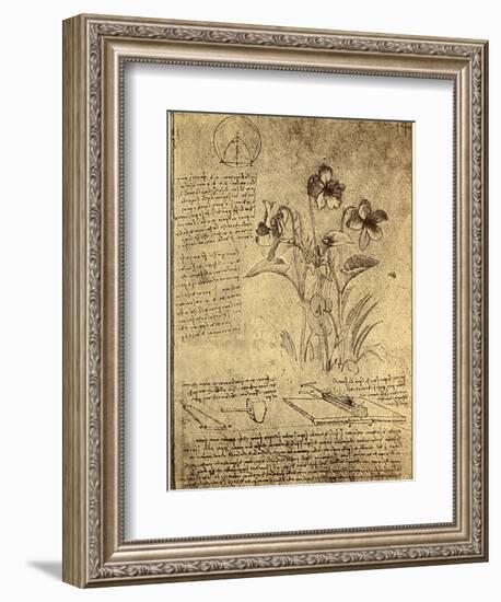 Drawing of Flowers and Diagrams by Leonardo da Vinci-Bettmann-Framed Giclee Print