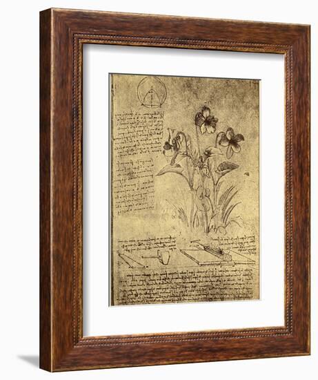 Drawing of Flowers and Diagrams by Leonardo da Vinci-Bettmann-Framed Giclee Print