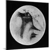 Drawing of Mars Showing 'Canals' and Dark Areas, 1896-null-Mounted Giclee Print