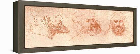 Drawing of Oriental Heads, in Red Chalk, C1472-C1519 (1883)-Leonardo da Vinci-Framed Premier Image Canvas