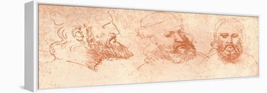 Drawing of Oriental Heads, in Red Chalk, C1472-C1519 (1883)-Leonardo da Vinci-Framed Premier Image Canvas