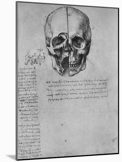 'Drawing of Two Halves of a Skull', c1480 (1945)-Leonardo Da Vinci-Mounted Giclee Print