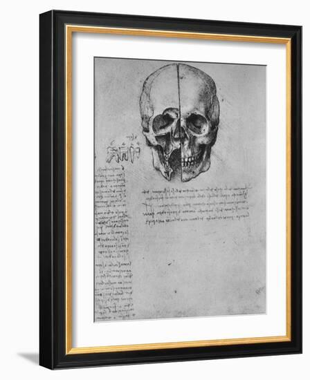 'Drawing of Two Halves of a Skull', c1480 (1945)-Leonardo Da Vinci-Framed Giclee Print